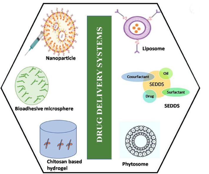 Plant Lectins as Bioadhesive Drug Delivery Systems